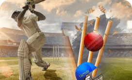 cricket betting